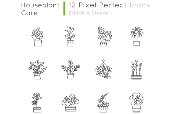 Houseplants Pixel Perfect Icons Set